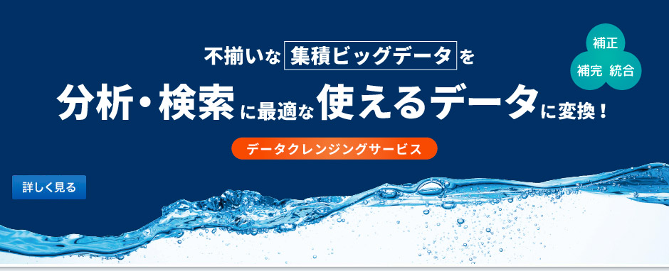 不揃いな集積ビッグデータを補正・補完・統合し、分析や検索に最適な使えるデータに変換！